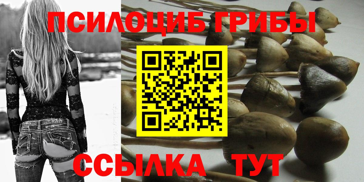 Псилоцибиновые грибы GOLDEN TEACHER  Вход с VPN  Абакан  Псилоцибиновые грибы Psilocybine cubensis 