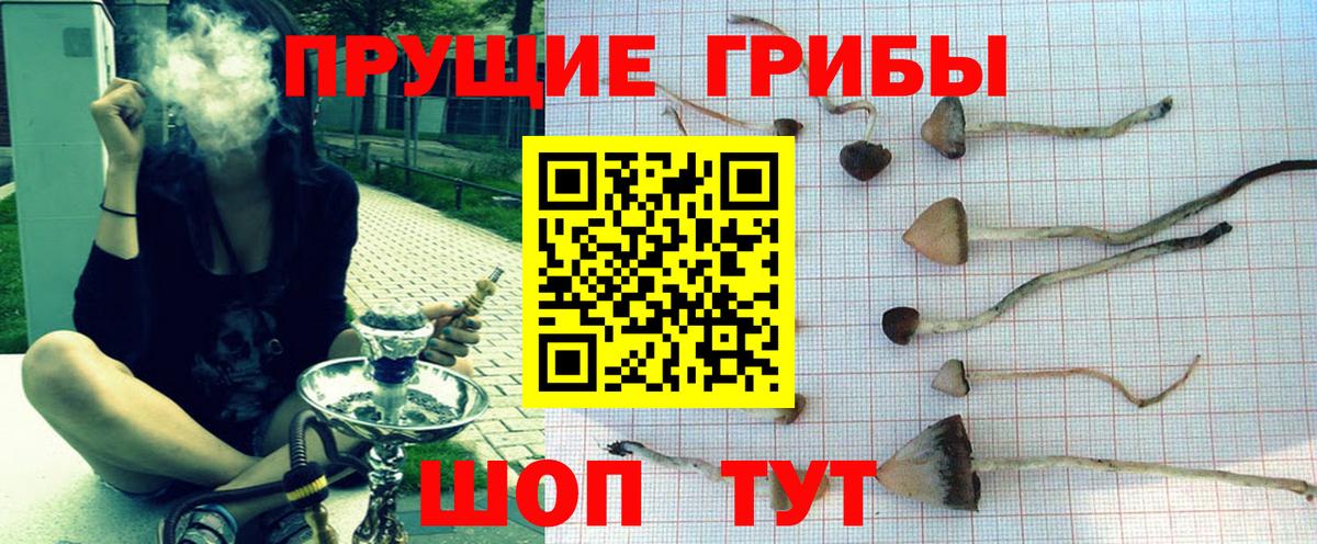Галлюциногенные грибы MAGIC MUSHROOMS Абакан
